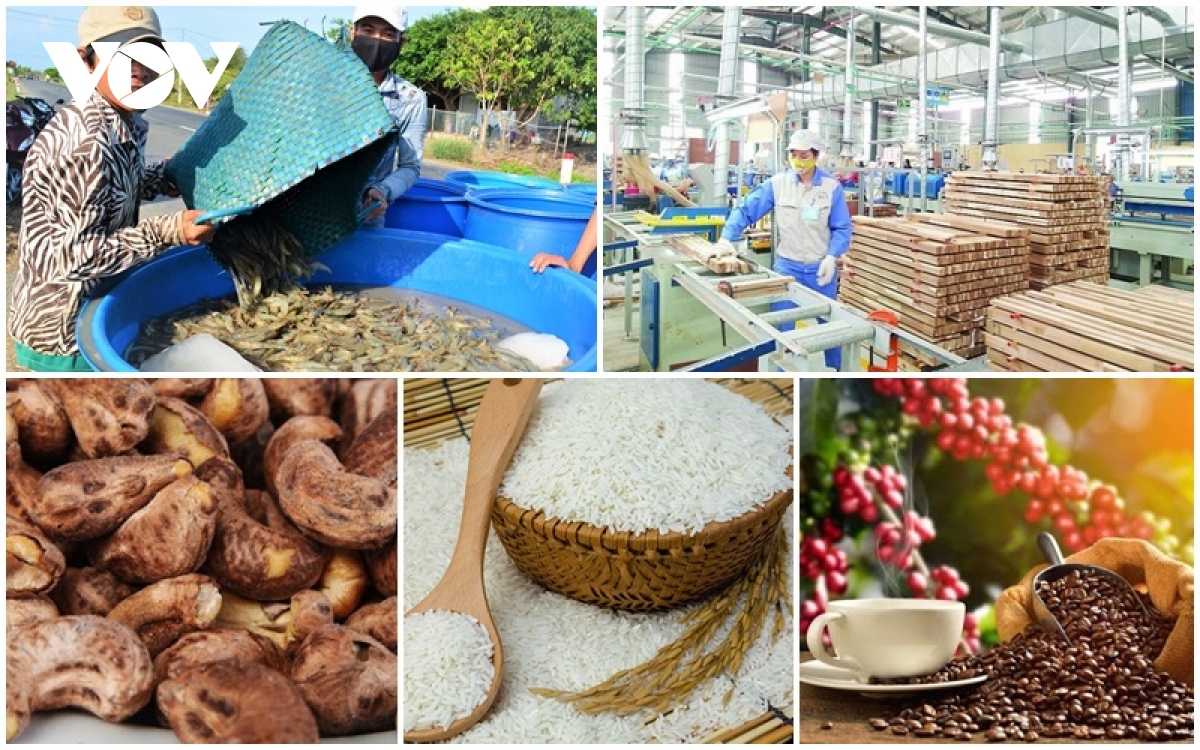 Vietnamese export turnover enjoys 28.4% surge in first half